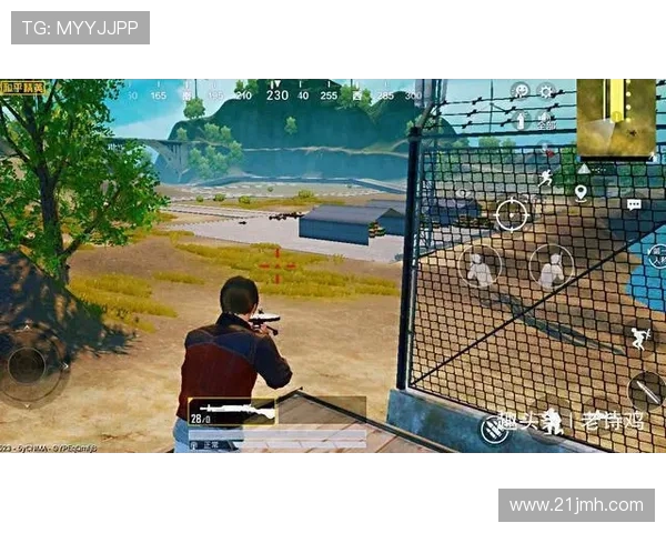 对话周静：探索和平精英职业生涯的成长与挑战